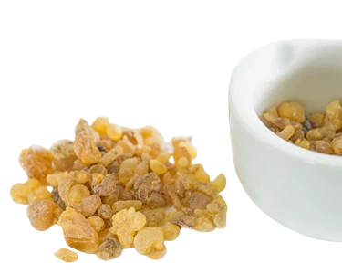 AprèsFlex Boswellia Serrata Extract