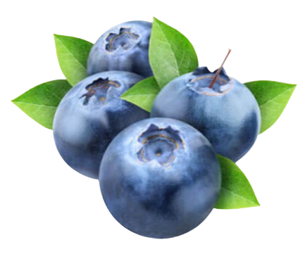 Blueberry