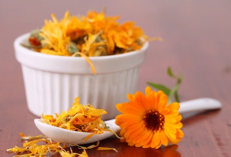 Calendula