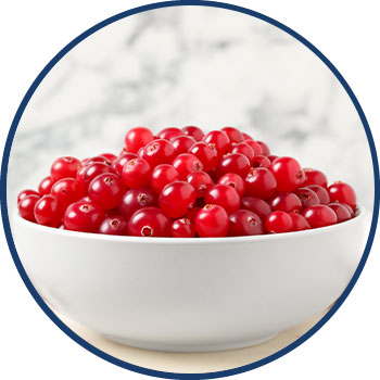 Cranberry Extract Ingr