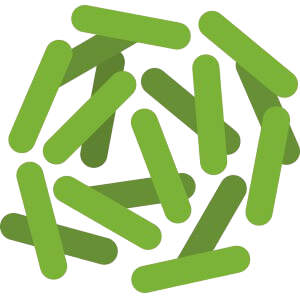 Lactobacillus Rhamnosus INGR