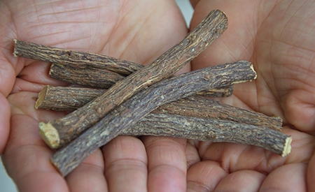 Licorice root