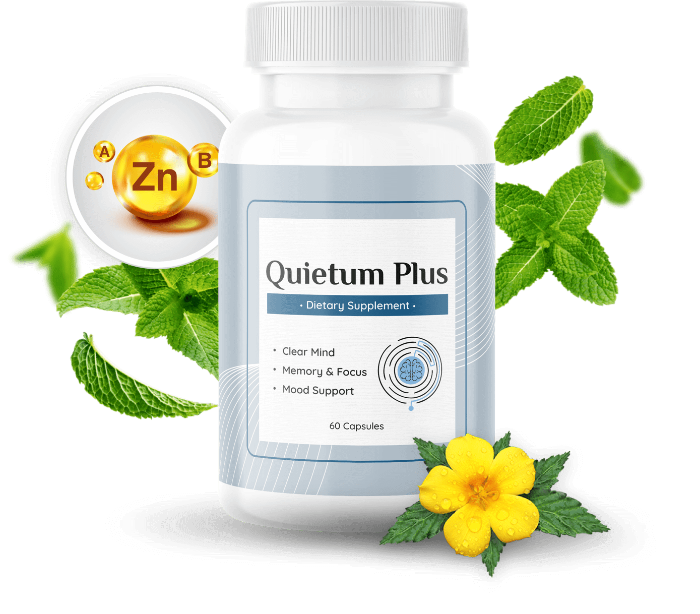 Quietum Plus Reviews