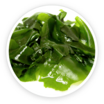 Wakame Extract