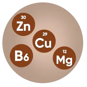 Zinc, Copper, Magnesium, and Vitamin B6